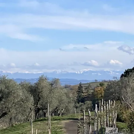 Farmház Paladini Montefiascone