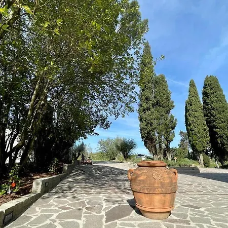 Paladini *