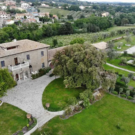 Paladini