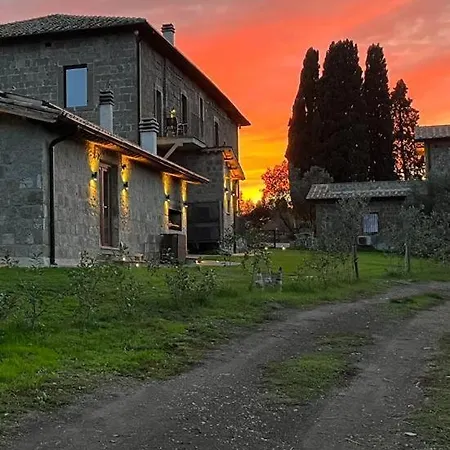 Paladini *