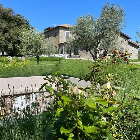Paladini Farm stay Montefiascone