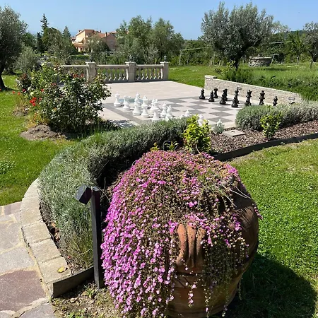Paladini *